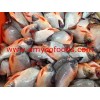 Red Pomfret from reliable factory in China