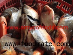 Red Pomfret from reliable factory in China