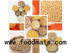 Food grains