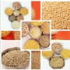 Food grains