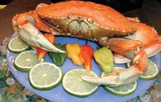 Dungeness crab