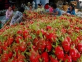 Vietnam expects to see increase in fruit, vegetable exports