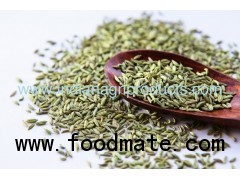 Fennel Seeds