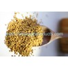 Fenugreek Seeds