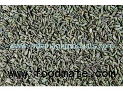 Cumin Seeds