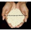 White Sesame Seeds