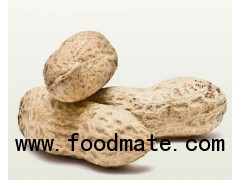 peanuts from india