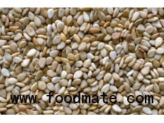 Sesame Seeds
