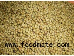 Whole Coriander Seeds