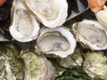 Oranellas named J.P.'s Shellfish president