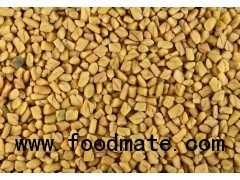 Fenugreek Seeds