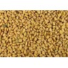 Fenugreek Seeds