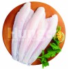 White Pangasius Fillet