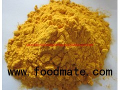 Nutritional Food Ingredients Dried Pumpkin Powder 80-100mesh