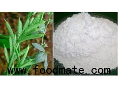 Guar Gum Powder