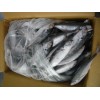 Sell: Frozen horse mackerel whole round with good quality