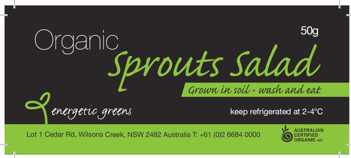 Organic Sprouts Salad