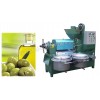 Automatic Screw Oil Press