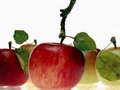 Australian apple exports to SE Asia and UK to increase