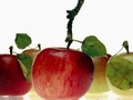 Australian apple exports to SE Asia and UK to increase