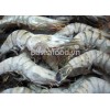 Frozen Black Tiger Shrimp HOSO