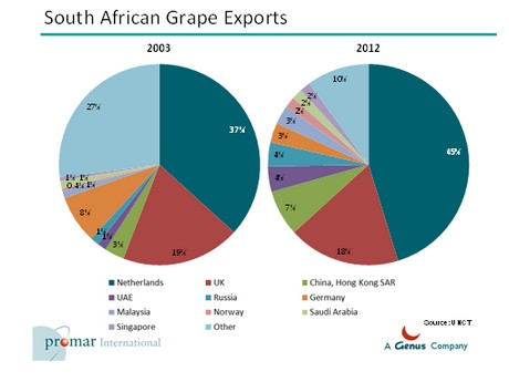 South African grape 
