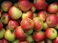 Germany bought fewer apples in 2013 due to high prices