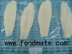 Pangasius Fillet Trimmed/ Untrimmed