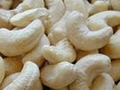 Vietnam's cashew nut trade down on raw material price hike