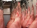 Russian pork market faces difficulties due to EU ban