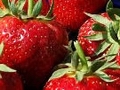 Large price gaps within Chinese strawberry market