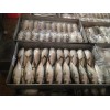 Sell: Frozen indian mackerel whole round from Vietnam