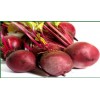 beetroot