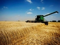 Grain Bulls Proved Right With Best Rally Since 2010: Commodities