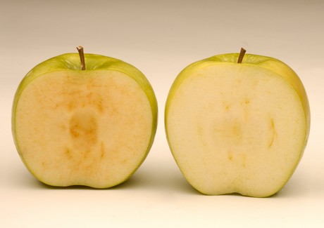 Non-browning apple