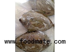 Sell: Frozen black pomfret whole round