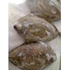 Sell: Frozen black pomfret whole round