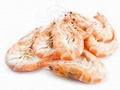 US Gulf Shrimp Landings for Start of 2014 Lowest in Years