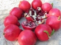 Spain launches three new pomegranate varieties