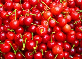 cherry