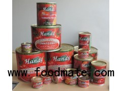 Canned Fresh Ketchup/Tomato Paste in Different Brix