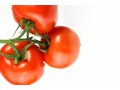 Anti-Dumping Commission publishes final report on ‘dumped’ tomatoes