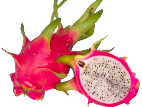 pitahaya