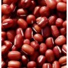 Small Red Bean