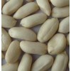 Blanched Peanut