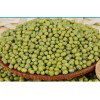 Green Mung Bean