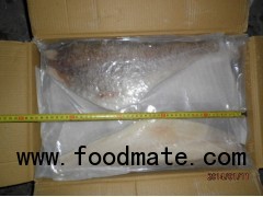 pacific cod fillet