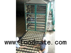 rice noodle making machine