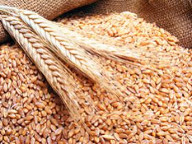 US-origin wheat