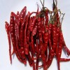 Dried Chili